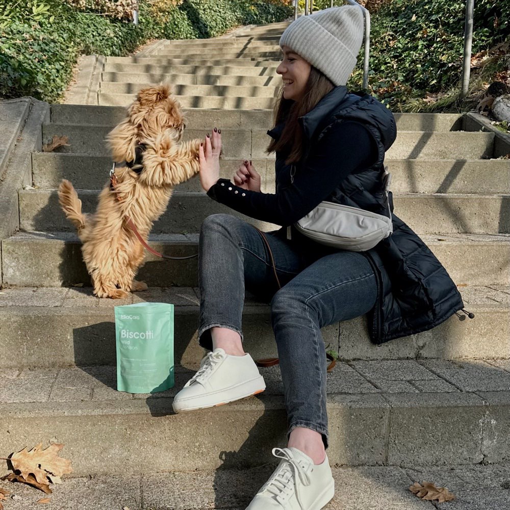 Hundetreffen-Social Walk & Play date-Profilbild