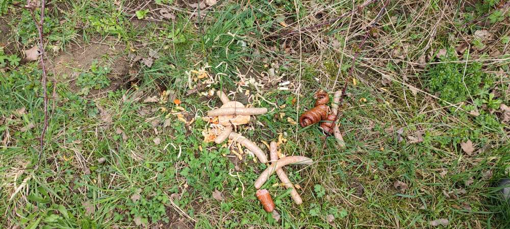 Giftköder-Wurst- und Essensreste-Profilbild