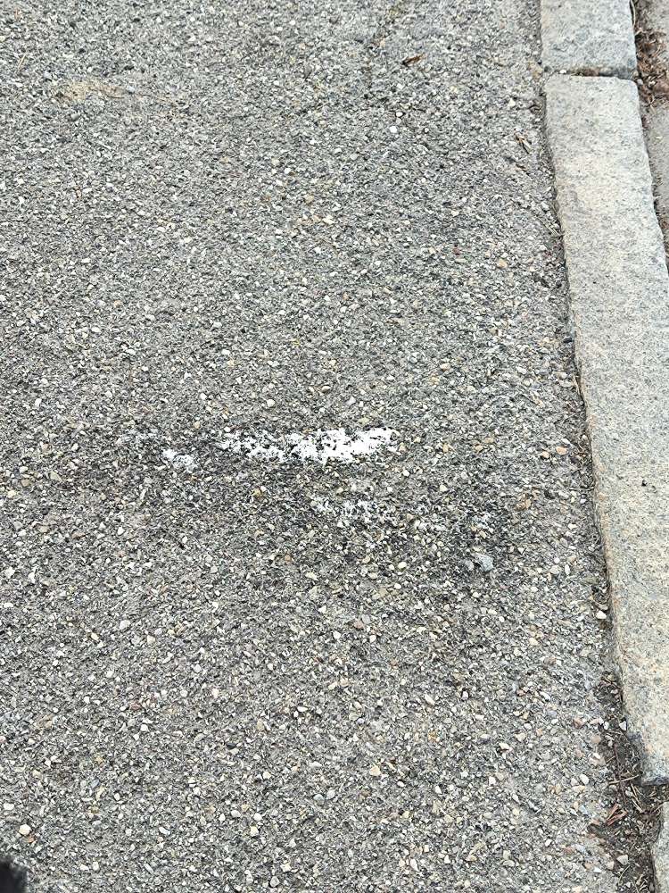 Giftköder-Neues Rattengift-Profilbild