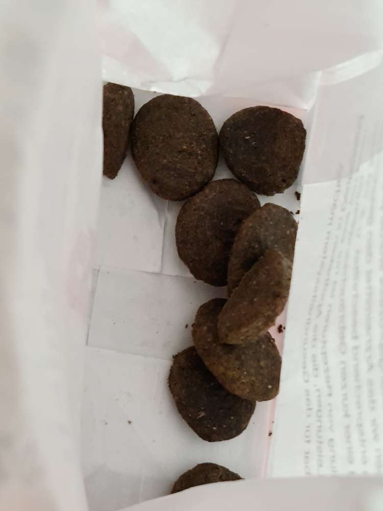 Giftköder-Futter gefunden-Profilbild