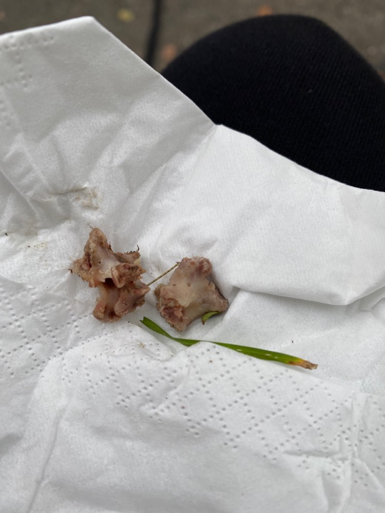 Giftköder-Knochenteile-Profilbild