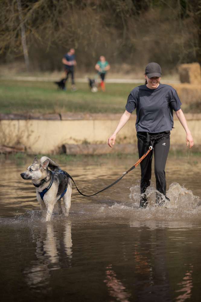 Hundetreffen-Canicross Zughundesport-Profilbild