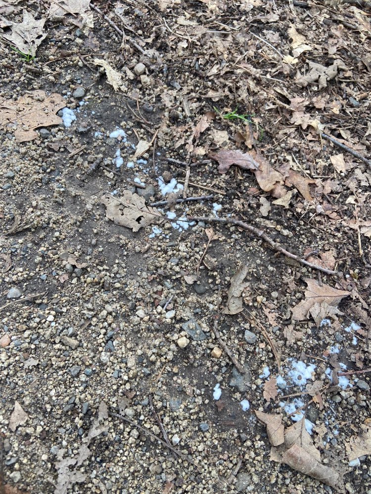 Giftköder-Weißes Pulver an mehreren Stellen-Profilbild