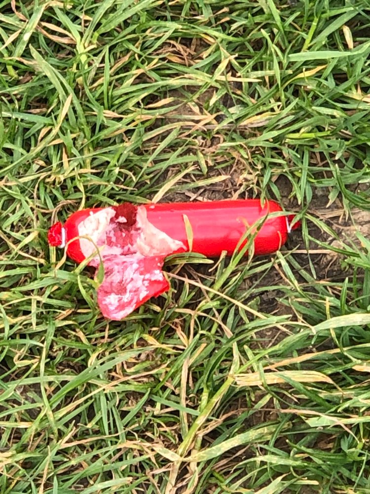 Giftköder-Giftköder auf der Hundewiese-Profilbild