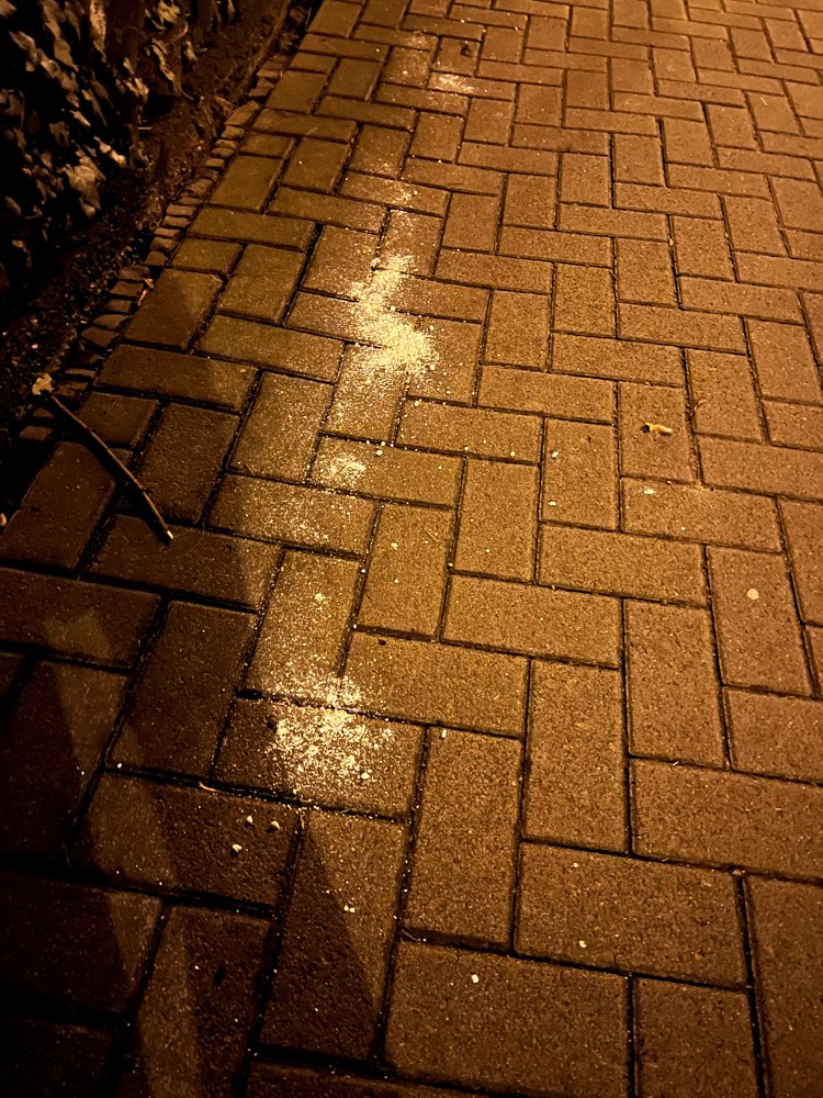 Giftköder-Verdächtiges weißes Pulver-Profilbild