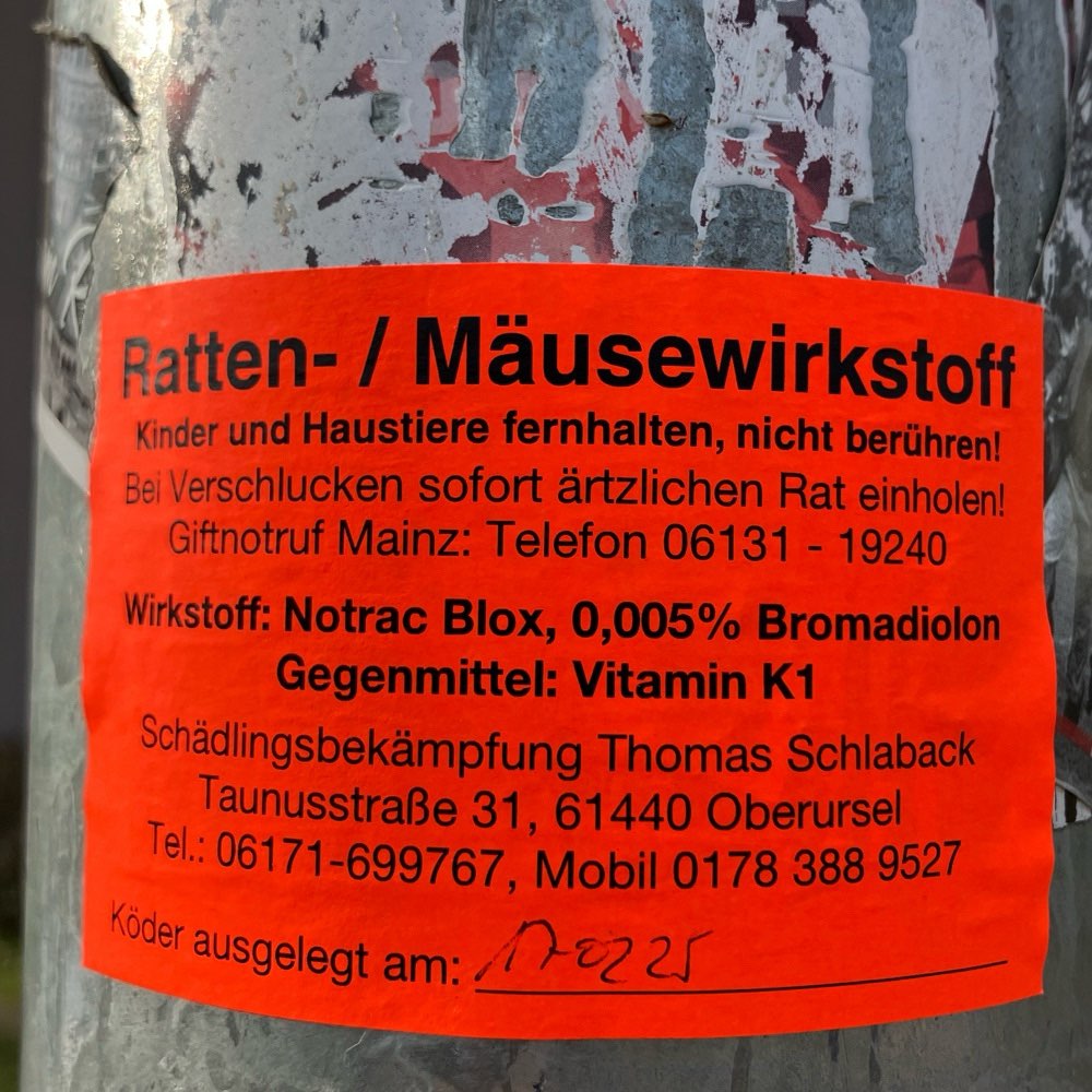 Giftköder-Rattengift-Profilbild