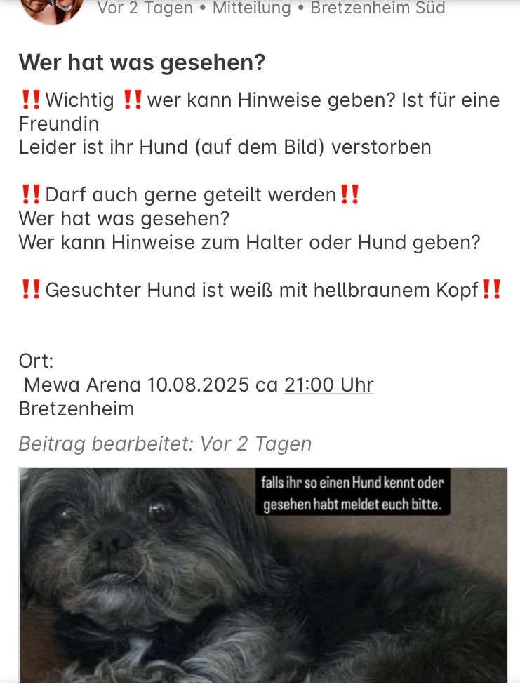 Giftköder-Hund nähe MEWA-Arena totgebissen-Profilbild