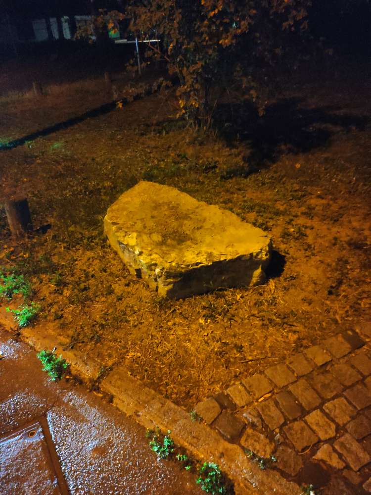 Giftköder-Verstreutes  Futter am Parkeingang-Profilbild