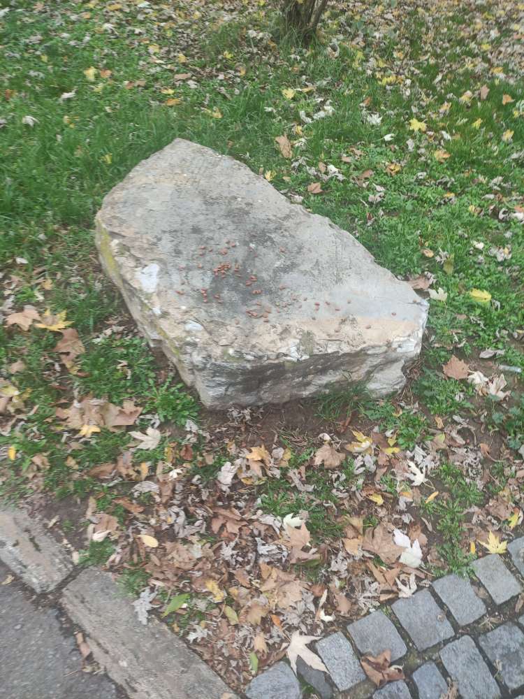 Giftköder-Verstreutes Futter-Profilbild