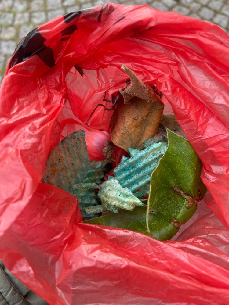 Giftköder-Möglicher Giftköder-Profilbild