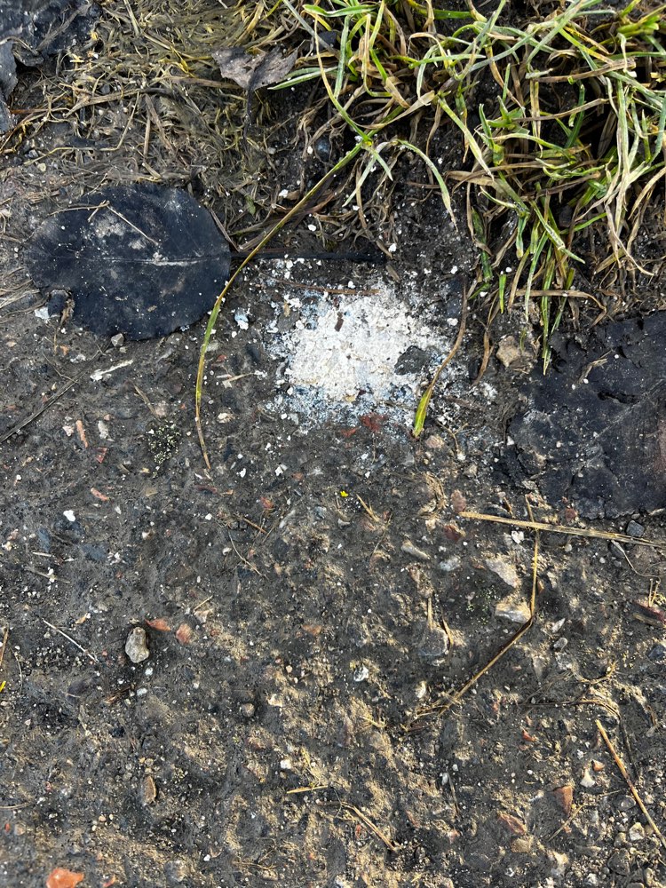 Giftköder-Weißes Pulver-Profilbild