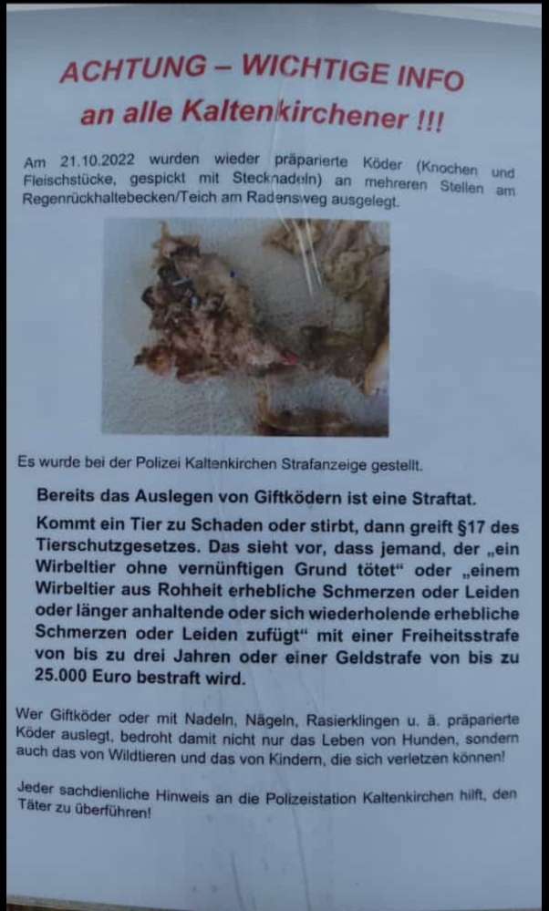 Giftköder-Knochen/Stecknadeln-Profilbild