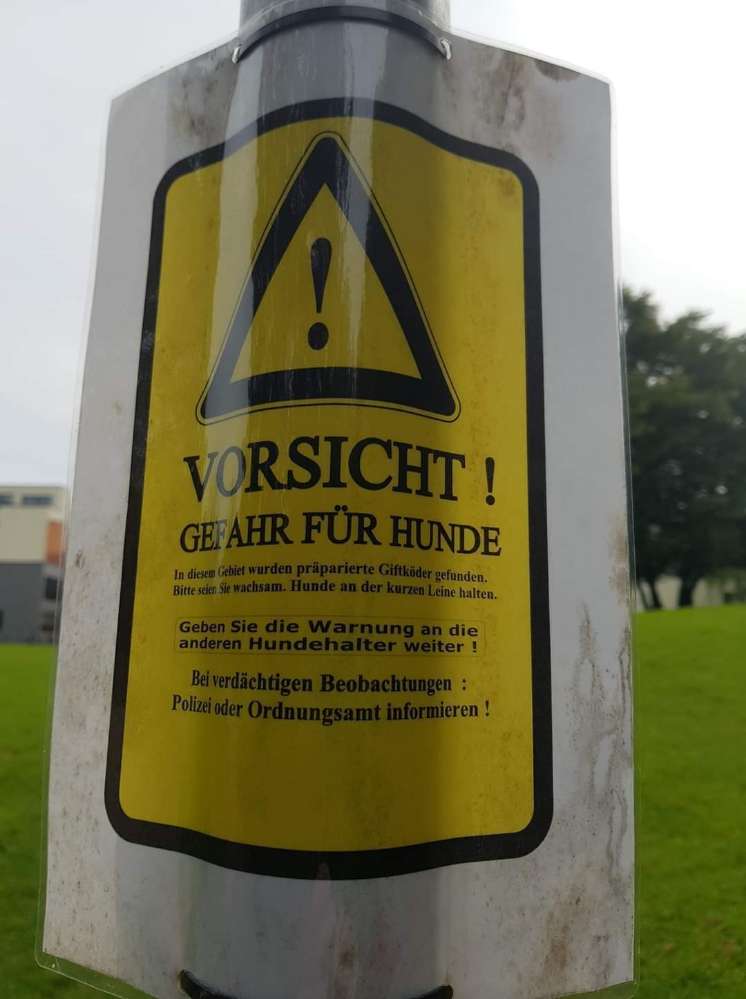 Giftköder-Giftköder-Profilbild