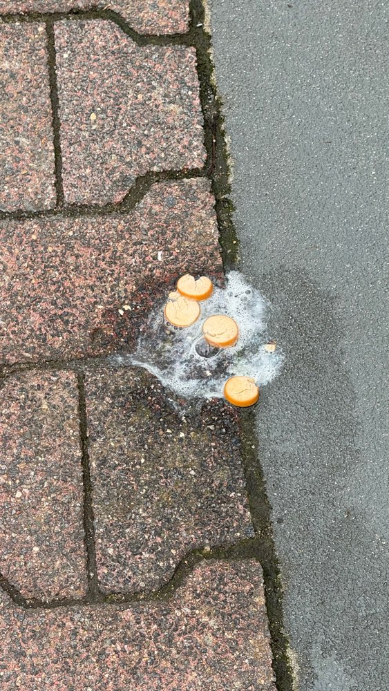 Giftköder-Köder (Wurststücke)-Profilbild