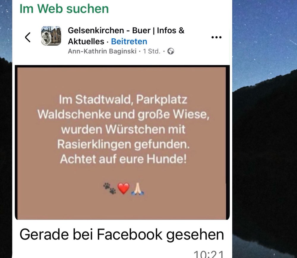 Giftköder-Giftköder-Profilbild