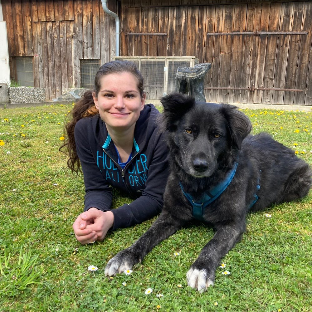 Hundetreffen-Gassi gehen, Spielen, Sozialisieren-Profilbild