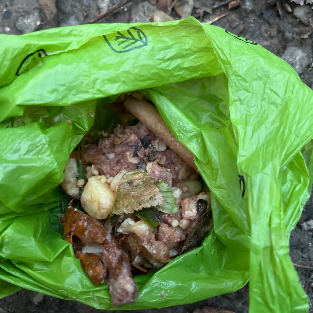 Giftköder-Eventueller Giftköder-Profilbild