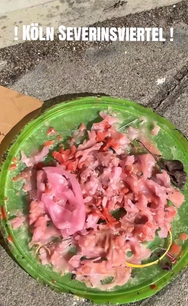 Giftköder-Köder mit Nadeln und Plastikteilen-Profilbild