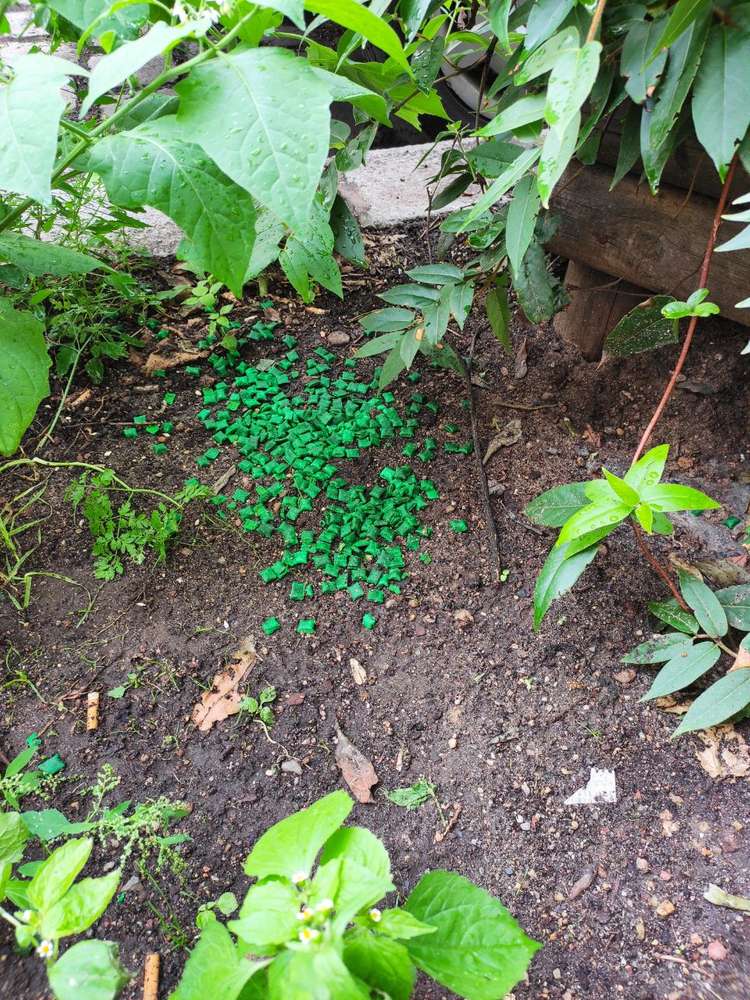 Giftköder-Rattengift-Profilbild