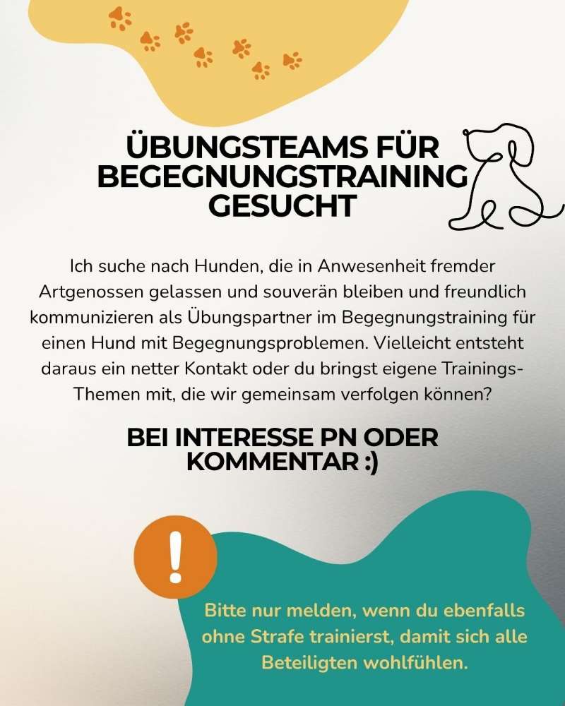Hundetreffen-Begegnungstraining-Profilbild