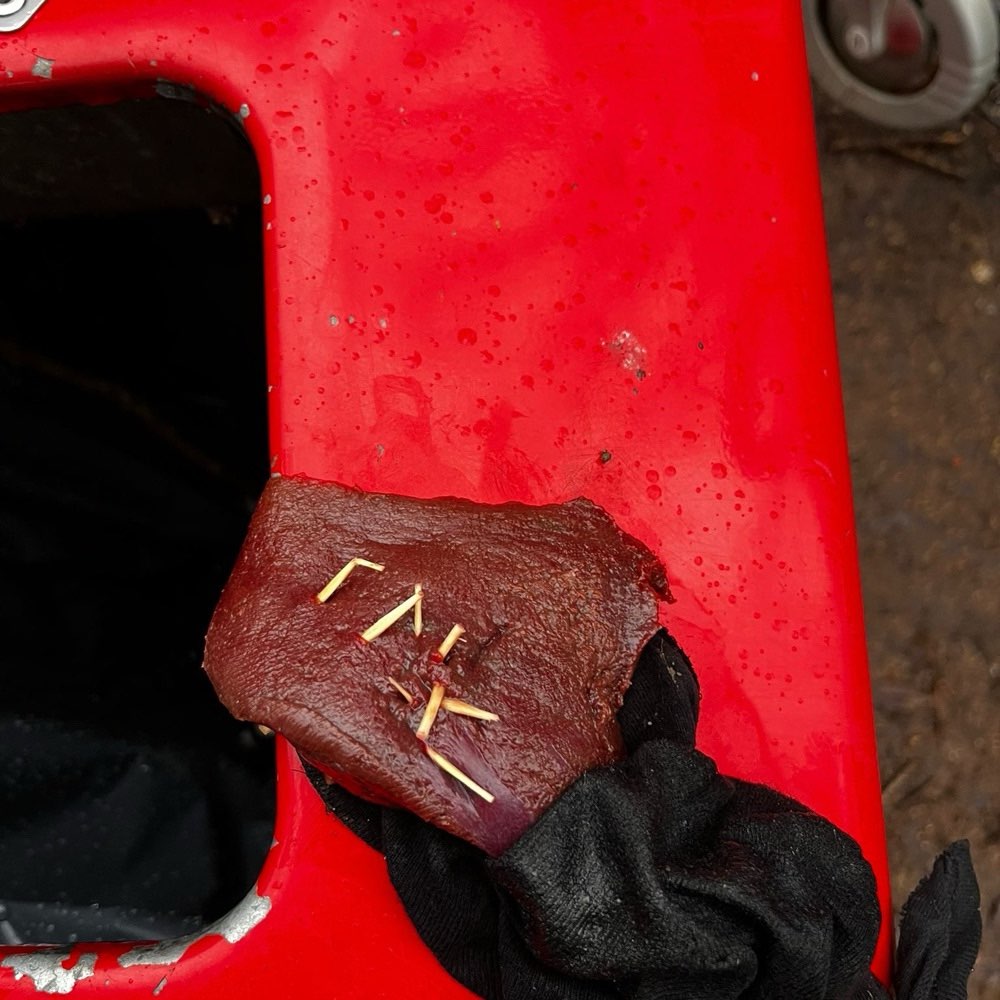 Giftköder-Leber mit Zahnstochern in Socken-Profilbild