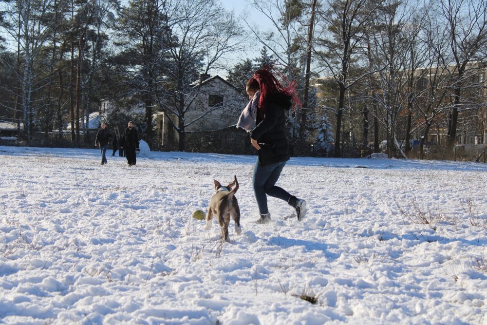 Hundetreffen-Gassi- und/oder Spielrunde 🐶-Profilbild