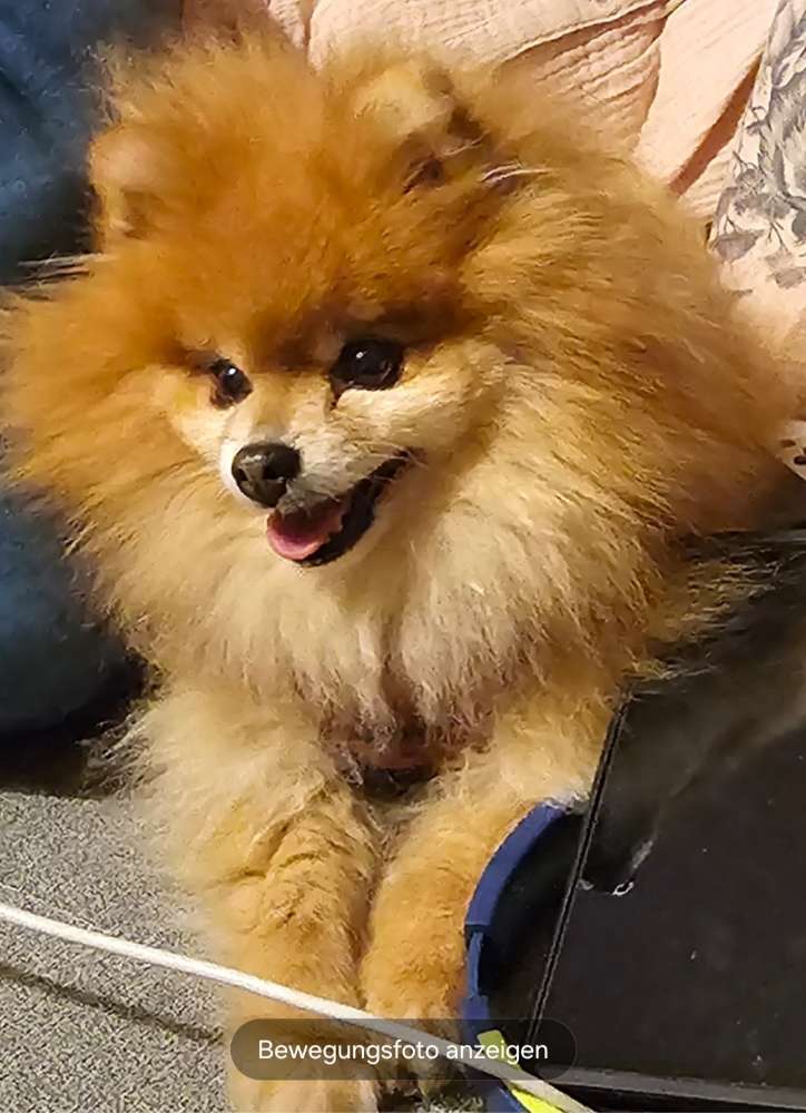 Giftköder-Giftköder-Profilbild