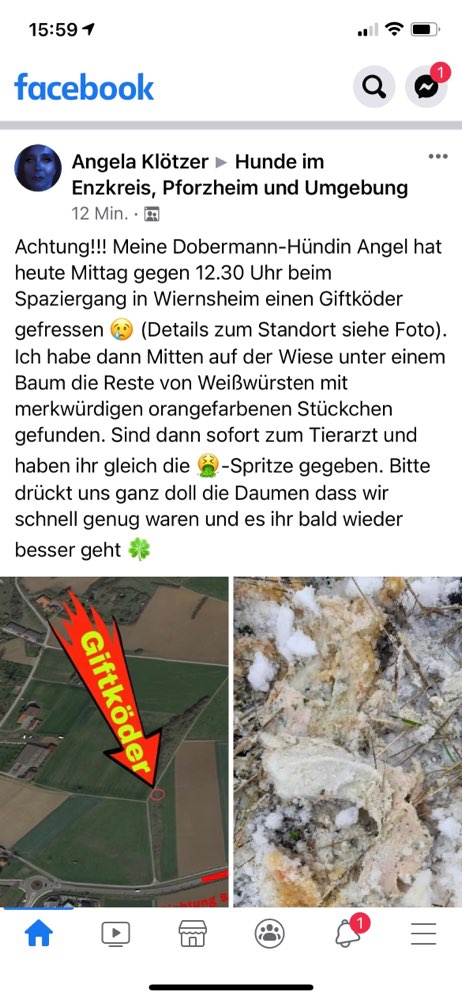 Giftköder-Giftköder-Profilbild