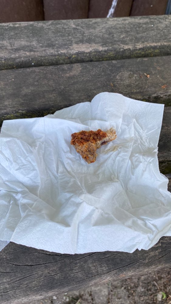 Giftköder-Knochenstück in der Wiese-Profilbild