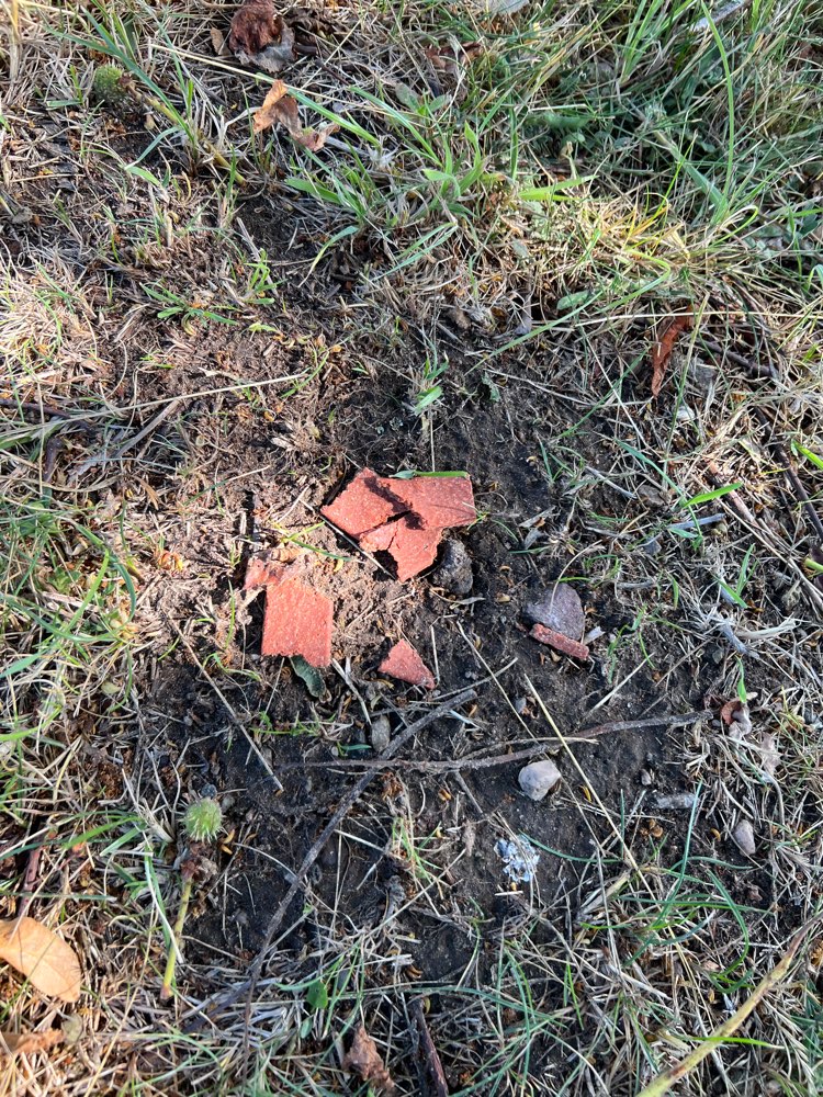 Giftköder-Ausgelegtes Futter/Leckerlies-Profilbild