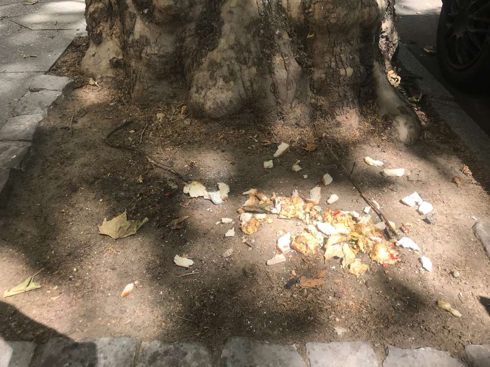 Giftköder-Wieder Fleisch, Prinzregenten 22-Profilbild