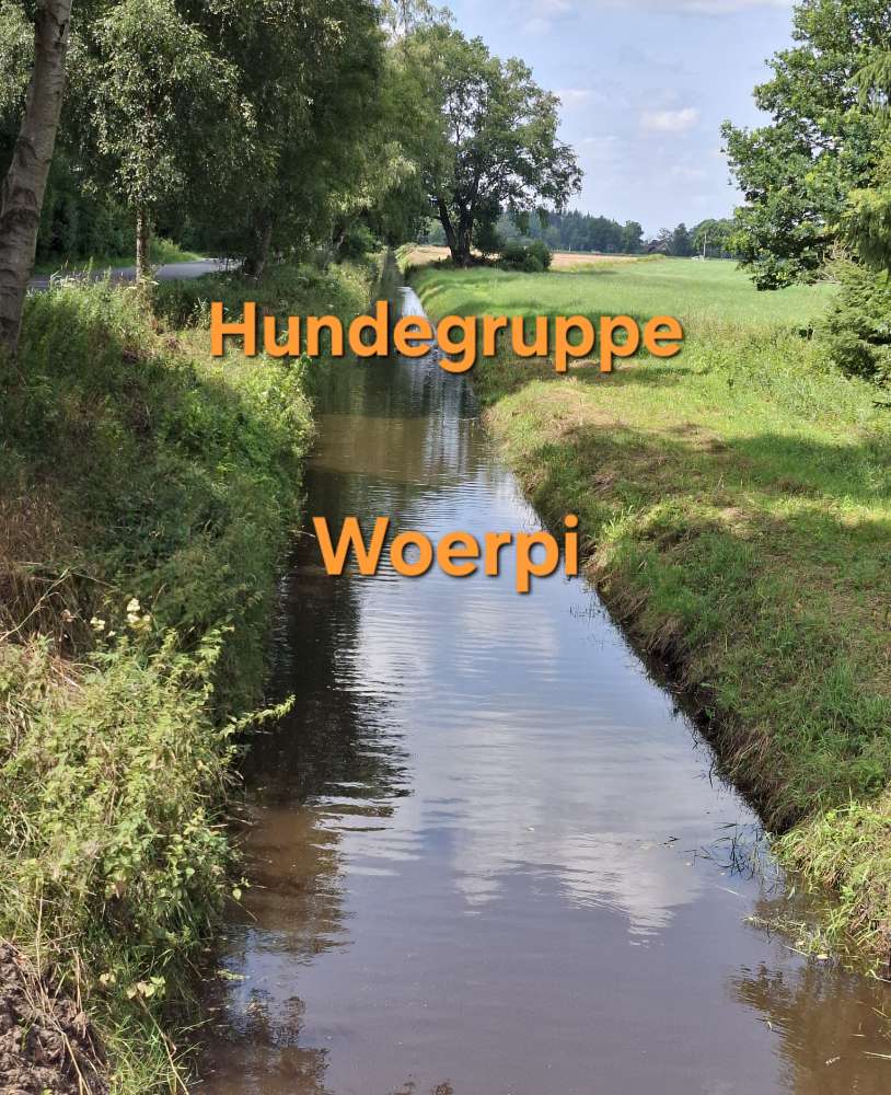 Hundetreffen-Worpswede, Tarmstedt und umzu-Profilbild