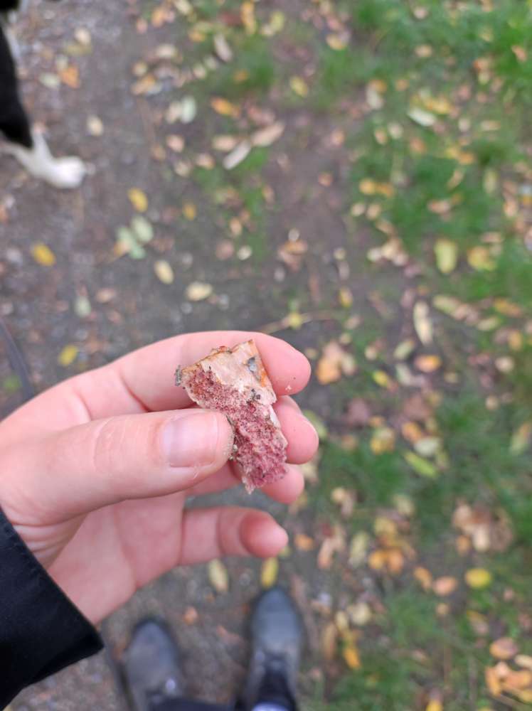 Giftköder-evtl. Gefahr-Profilbild