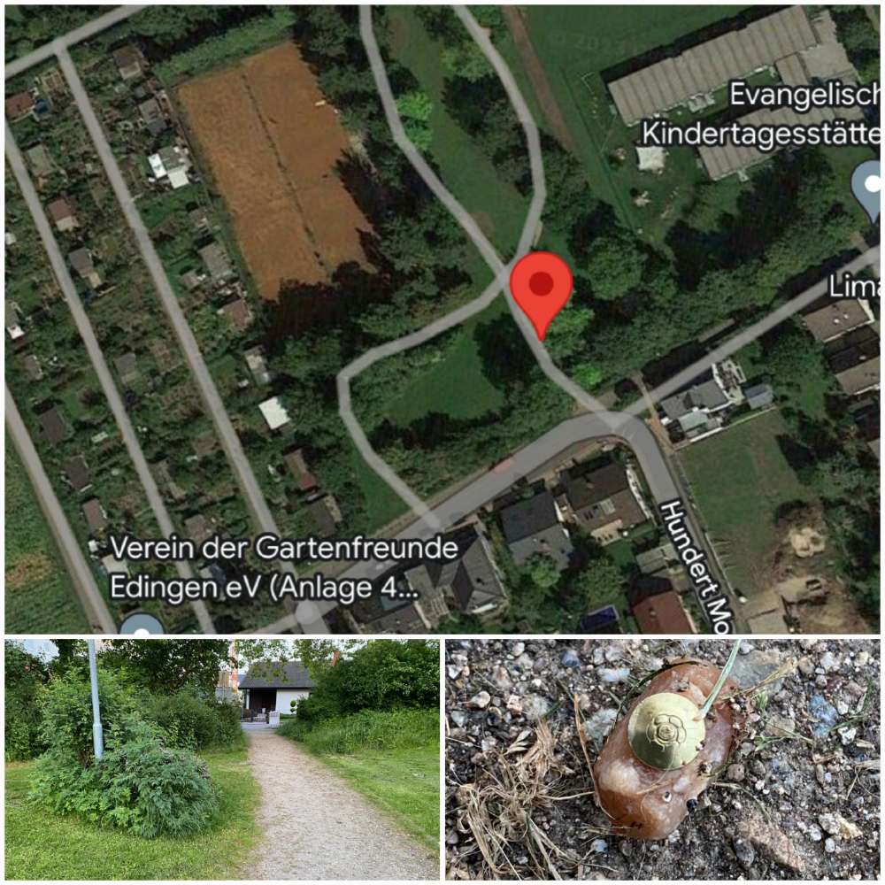 Giftköder-Köder mit Reißnagel-Profilbild