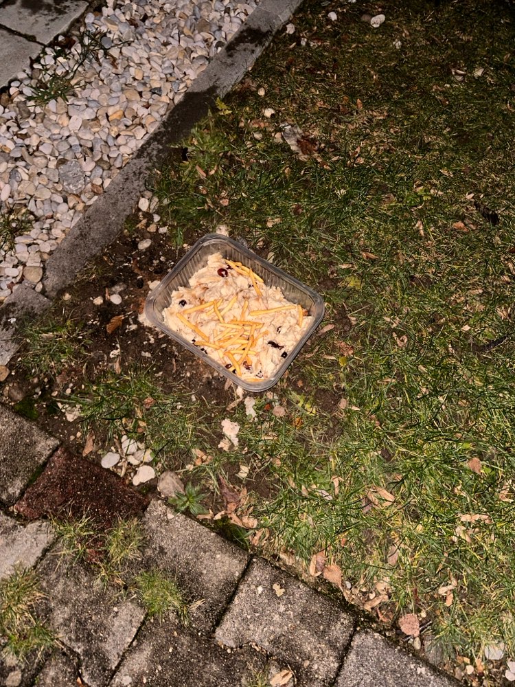 Giftköder-Seltsames Essen-Profilbild