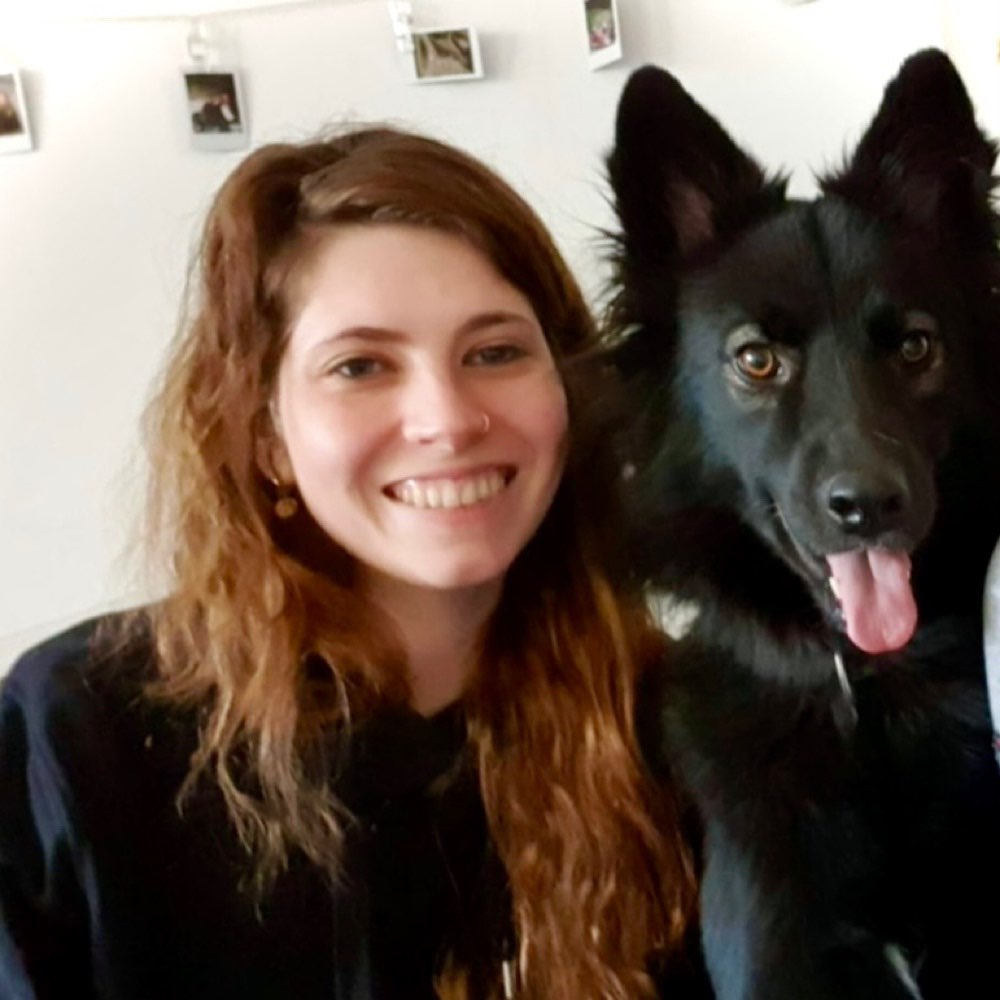 Hundetreffen-Training und Spaziergänge - Hasnerplatz-Profilbild