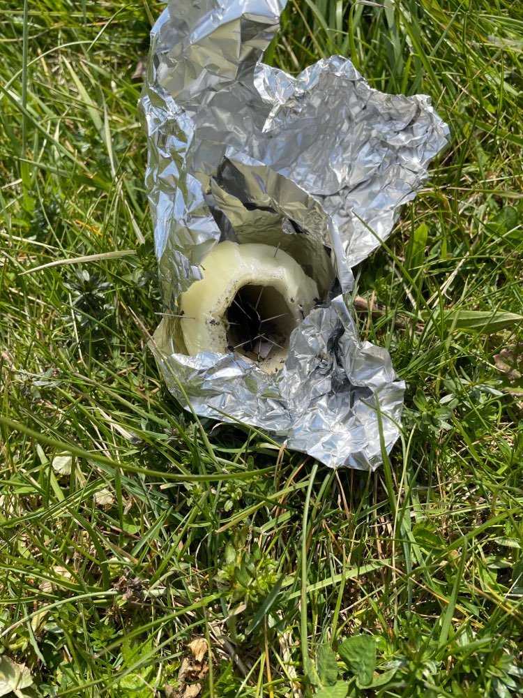 Giftköder-Zwiebel mit Nadeln und Metall!-Profilbild