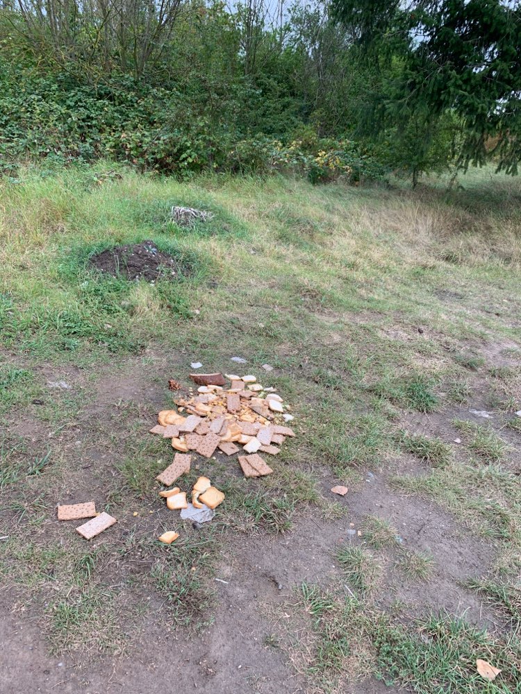 Giftköder-Haufen altes Brot-Profilbild