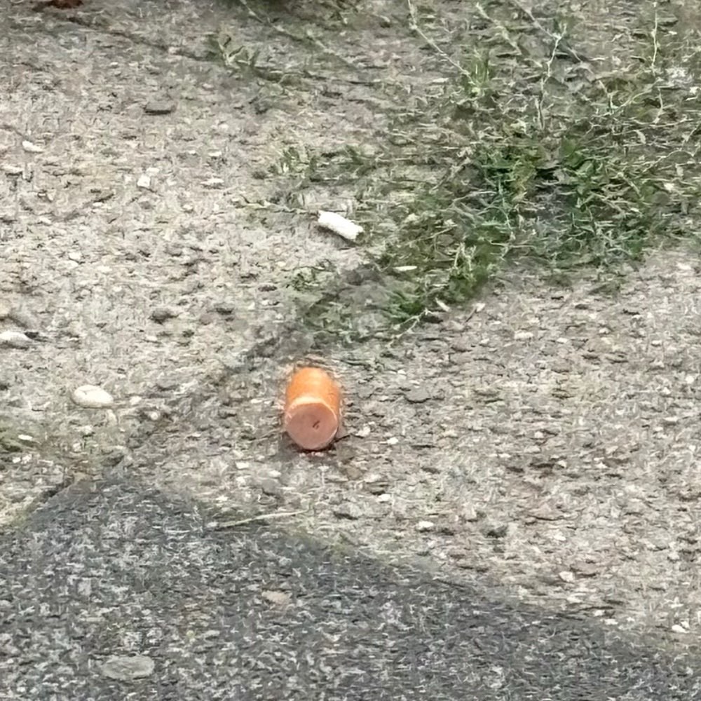 Giftköder-Vermutlich Giftköder-Profilbild