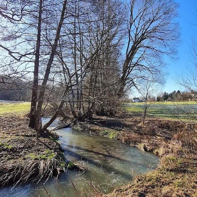 Hundetreffen-Werdau - Neumarker Bach-Profilbild