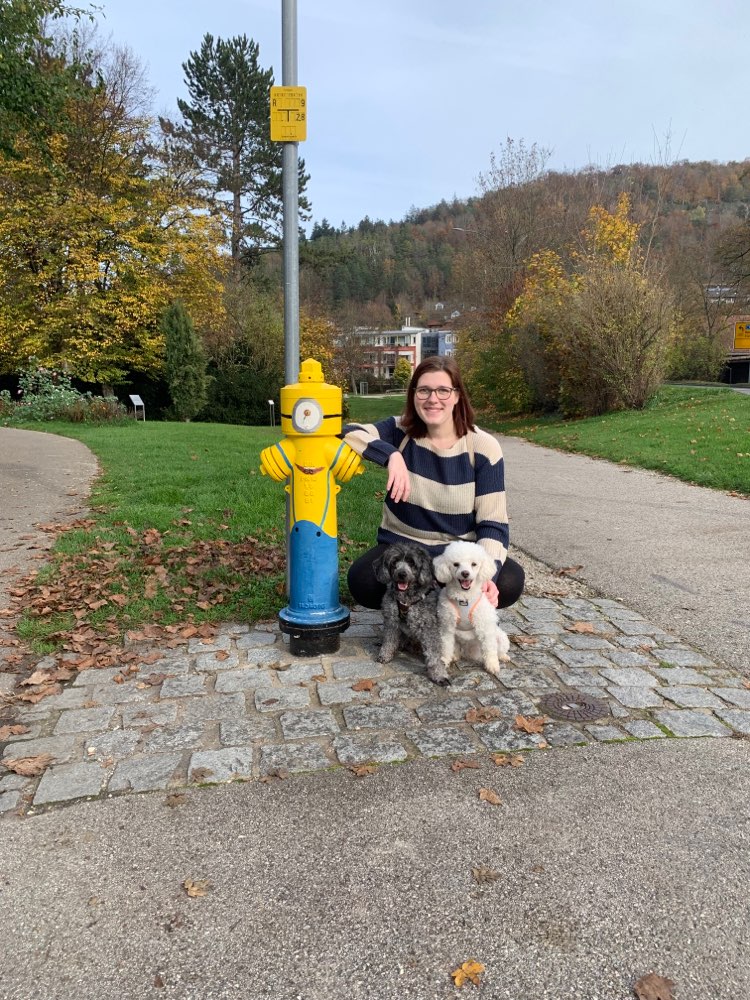 Hundetreffen-Training mit Kindern gesucht-Profilbild