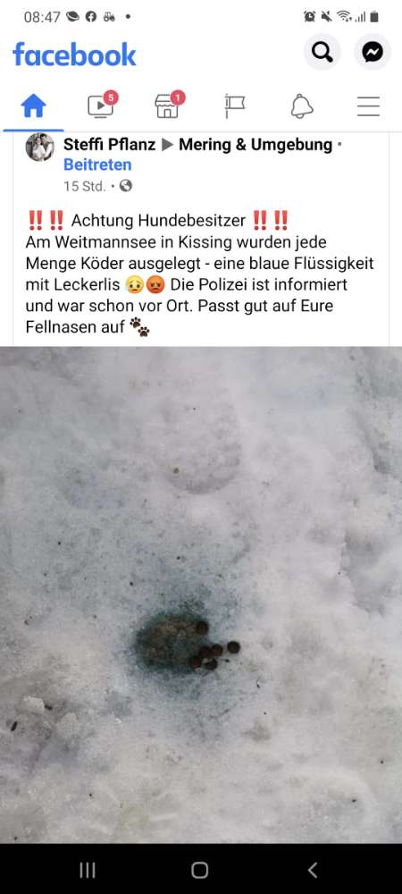 Giftköder-Köder mit blauer flüssigkeit-Profilbild