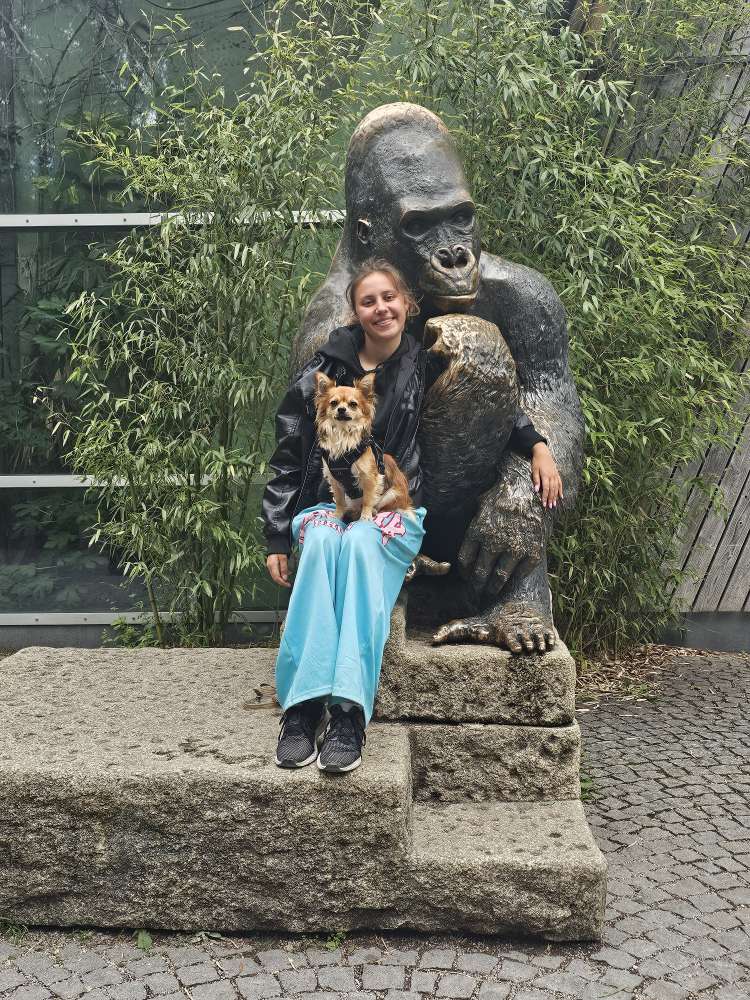 Hundetreffen-Langsames kennen lernen + spielen-Profilbild