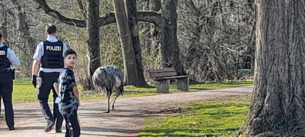 Giftköder-Wilder Strauß-Profilbild