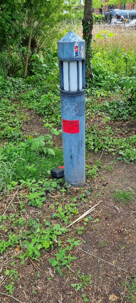 Giftköder-Rattengift-Profilbild