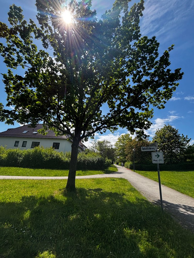 Giftköder-Eichenprozessionsspinner-Profilbild