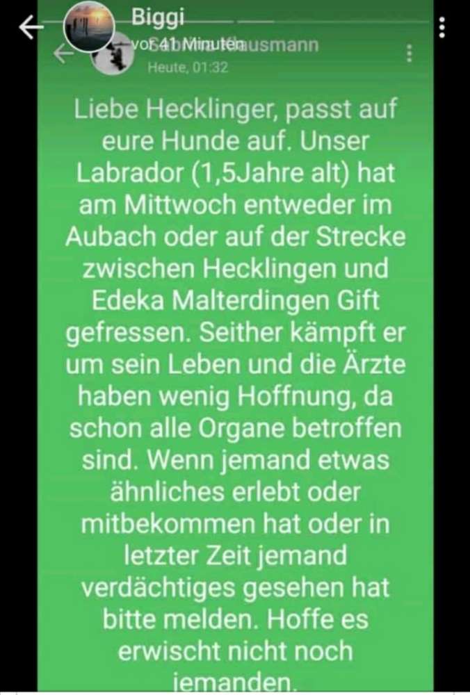 Giftköder-Giftköder-Profilbild