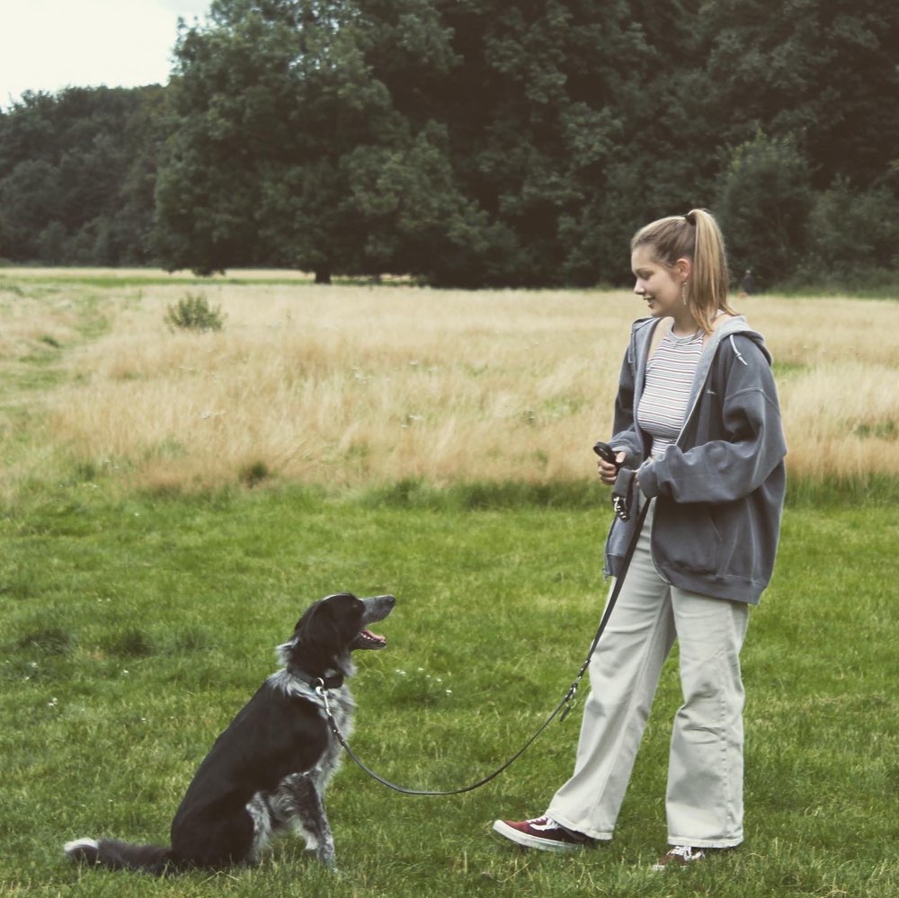 Hundetreffen-Spaziergang und Spielen-Profilbild