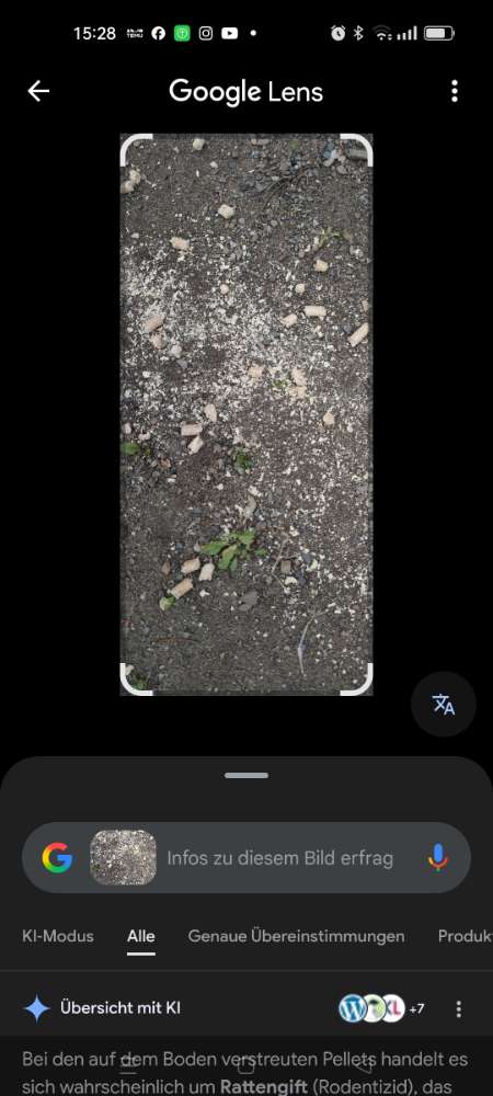 Giftköder-Eventuell Rattengift-Profilbild