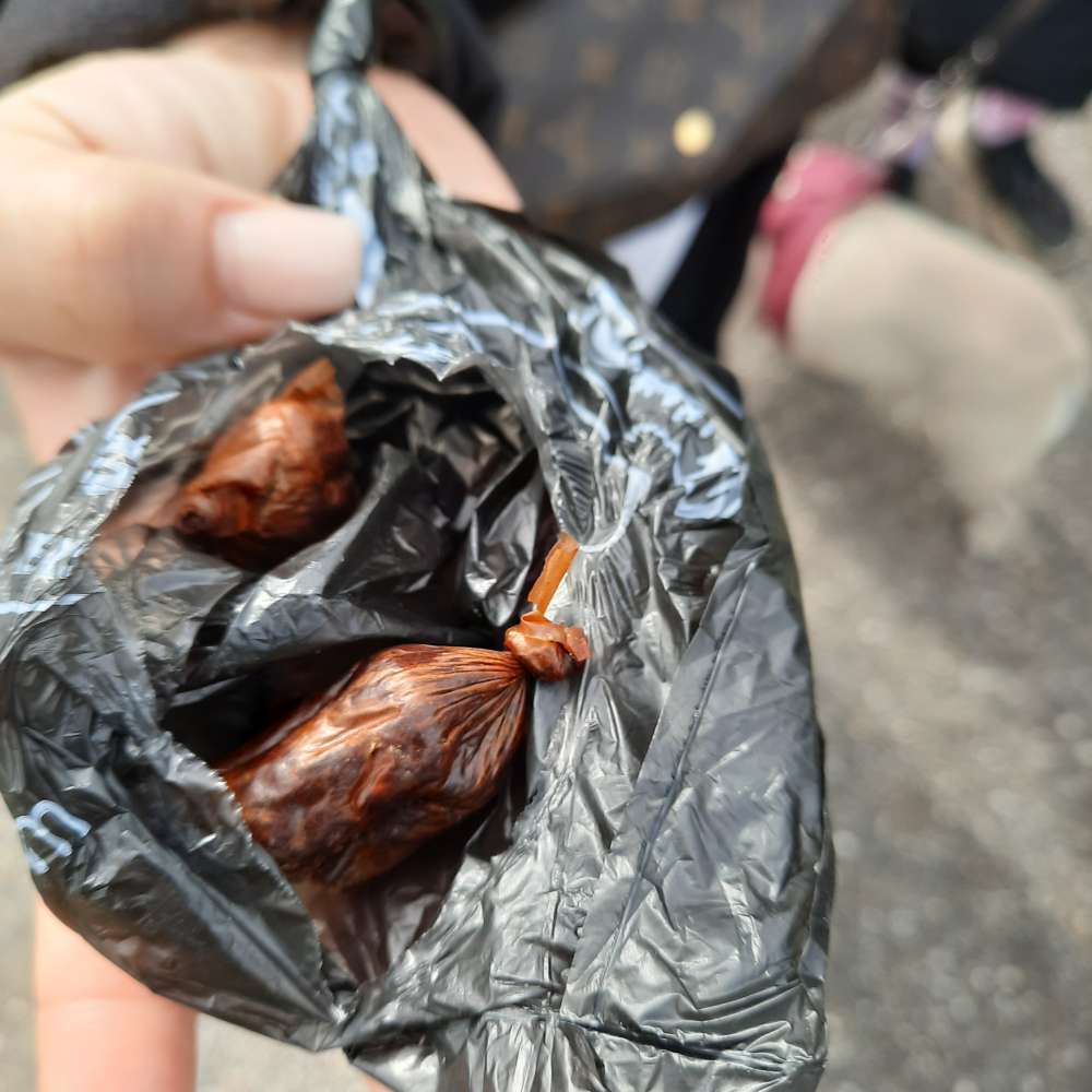 Giftköder-Vermutlich Giftköder-Profilbild